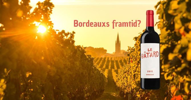 Bastarden från Bordeaux har anlänt till Sverige