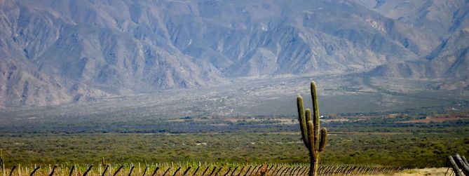 Cafayate vin