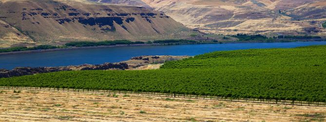 Columbia Valley Vin