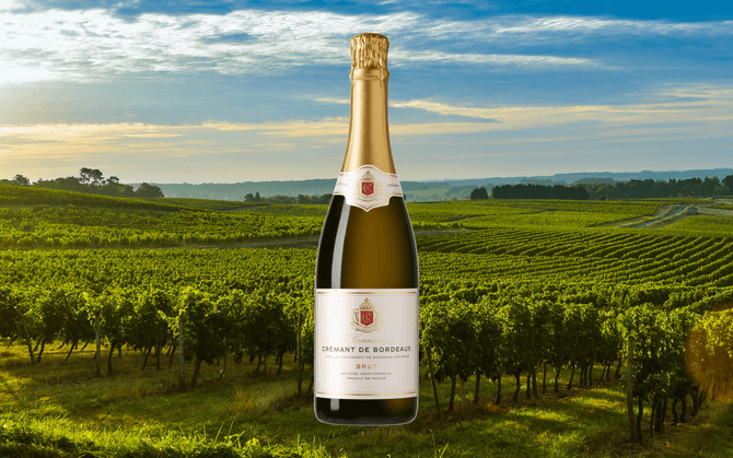 Bordeaux är mer än rödvin - upptäck regionens nya bubblande stjärna