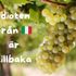 Svenskfavoriten "Idioten från Italien" är tillbaka