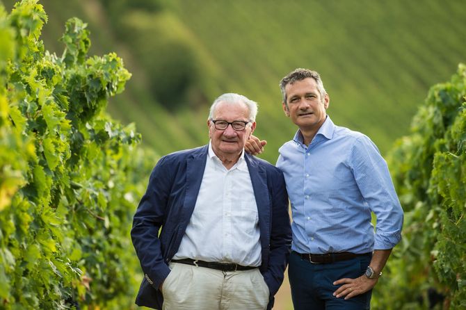 Italiens bästa vinhus 2024 - nu på box i Sverige