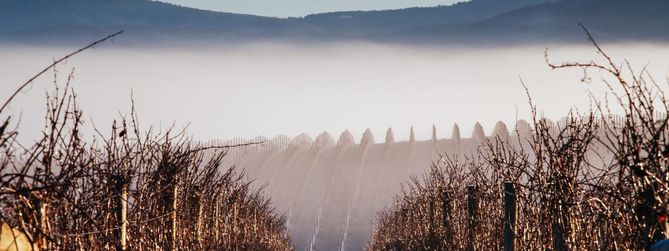 Yarra Valley Vin