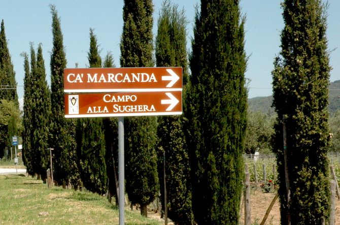 Ca’Marcanda i Bolgheri - från start en naturlig förebild