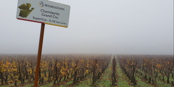 Väder och vind växtåret 2017 i Gevrey-Chambertin