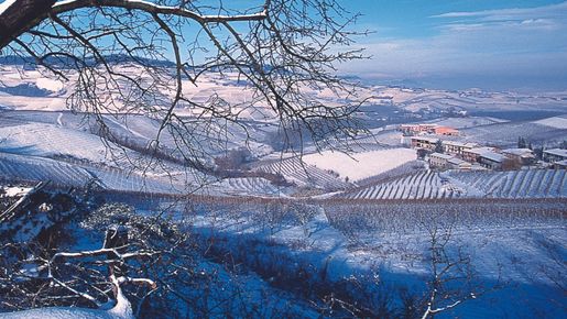 Fontanafredda lanserar boxvin: Vill ge en rättvis bild av Piemonte