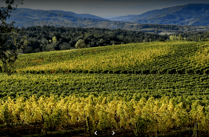 Domaine de Baronarques i Limoux