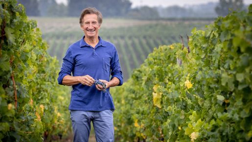 Chateau Bonnet låter vita Bordeauxviner stå i rampljuset