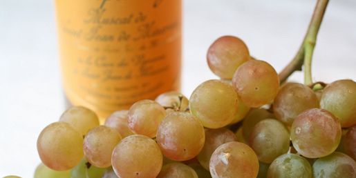 Muscat – druva och vin