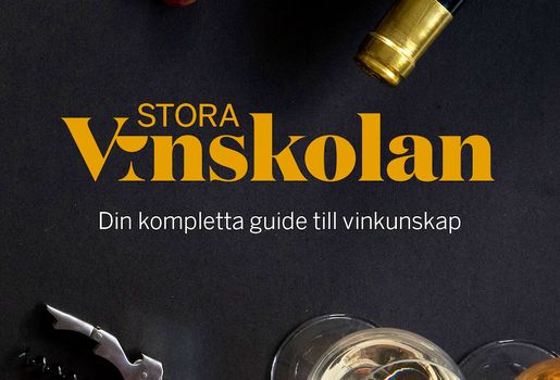 Bokrecension | Stora Vinskolan