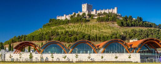 Bodegas Protos satte Ribera del Duero på kartan