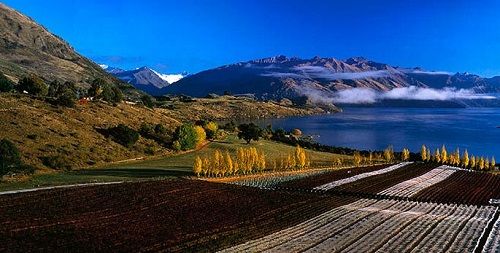 Röttorps Bästa med franska druvor i Toscana