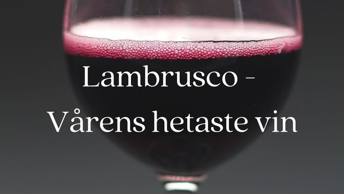 Lambrusco – vårens hetaste vin