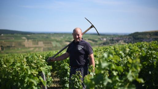 Pouilly-Fumé – den eleganta grannen till Sancerre