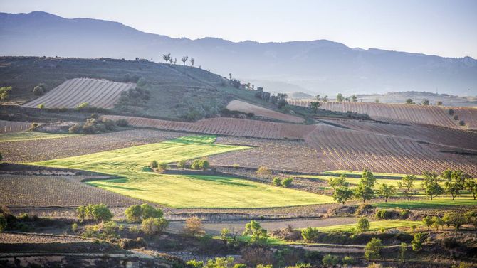 La Rioja Alta för tradition till framtid