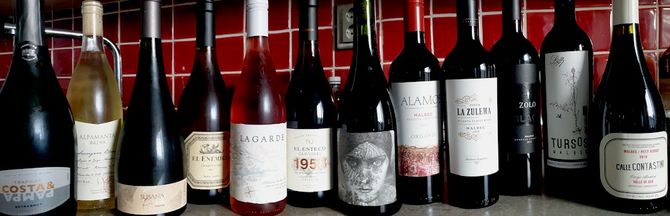 Vin från Argentina med upplyfta förutsättningar