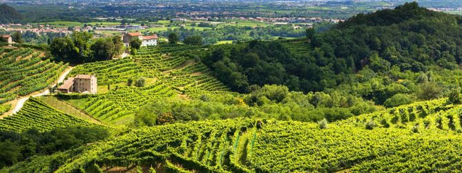 Valdobbiadene