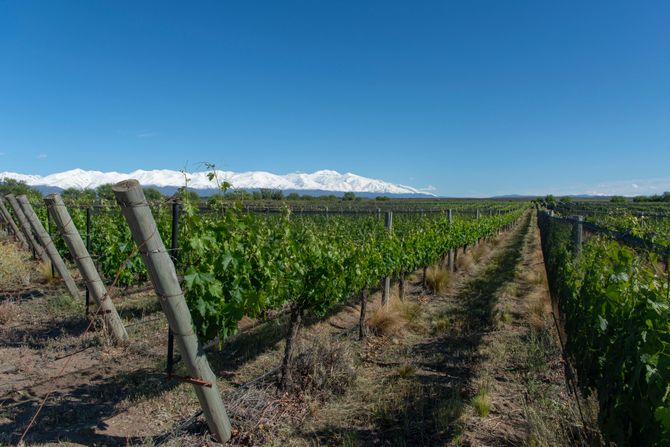 Mendoza